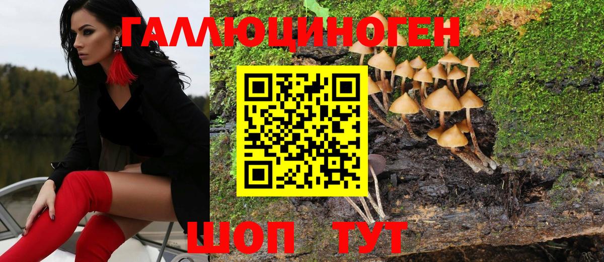 Галлюциногенные грибы MAGIC MUSHROOMS  Вход с VPN  Новокубанск 