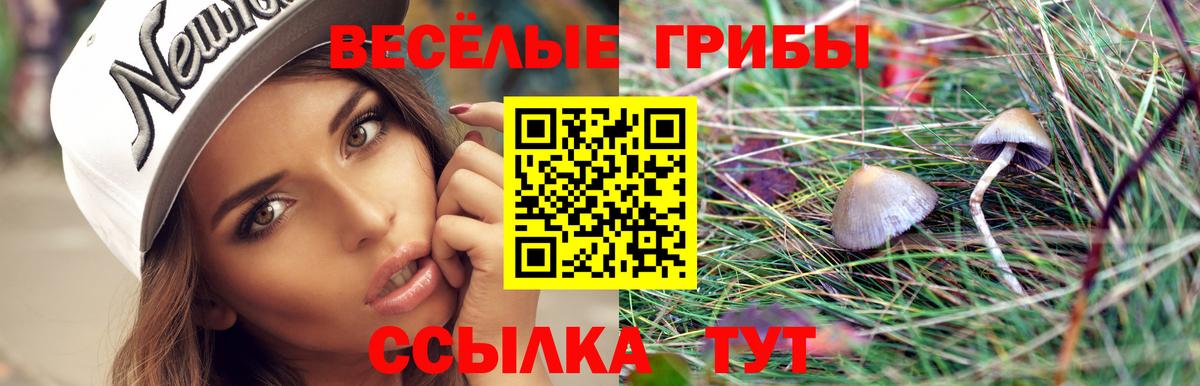 Псилоцибиновые грибы ЛСД Новокубанск